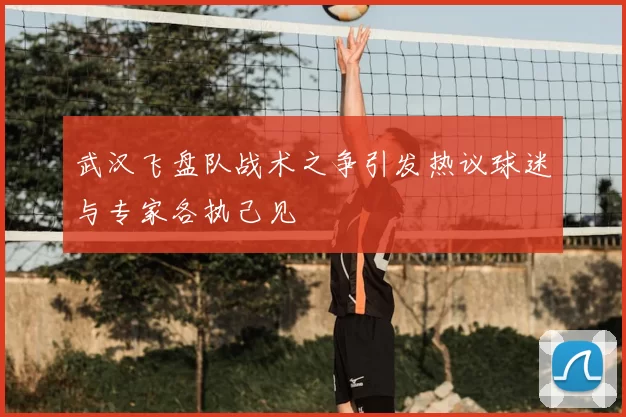 武汉飞盘队战术之争引发热议球迷与专家各执己见