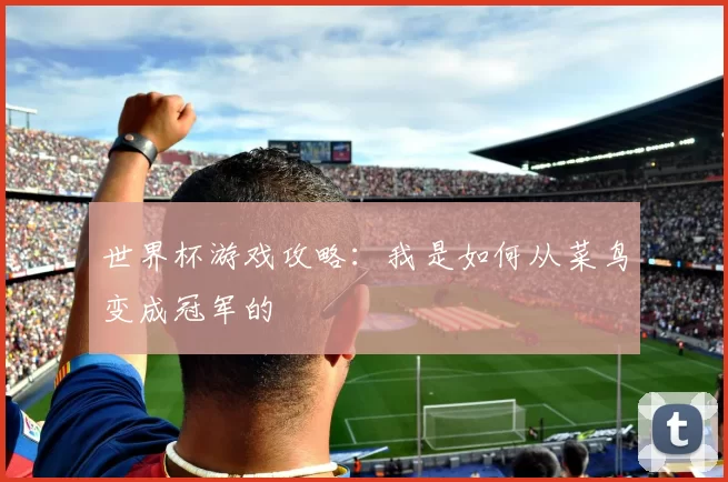 世界杯游戏攻略：我是如何从菜鸟变成冠军的