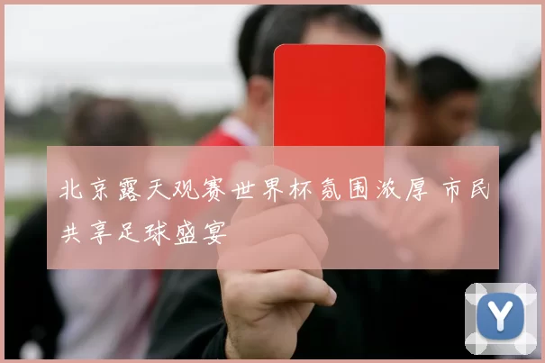 北京露天观赛世界杯氛围浓厚 市民共享足球盛宴