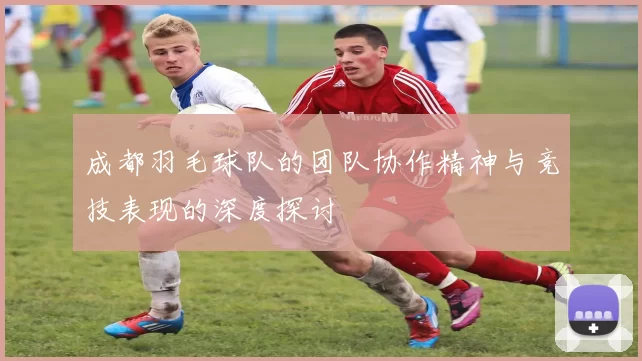 成都羽毛球队的团队协作精神与竞技表现的深度探讨
