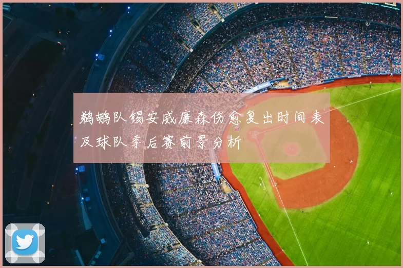 鹈鹕队锡安威廉森伤愈复出时间表及球队季后赛前景分析