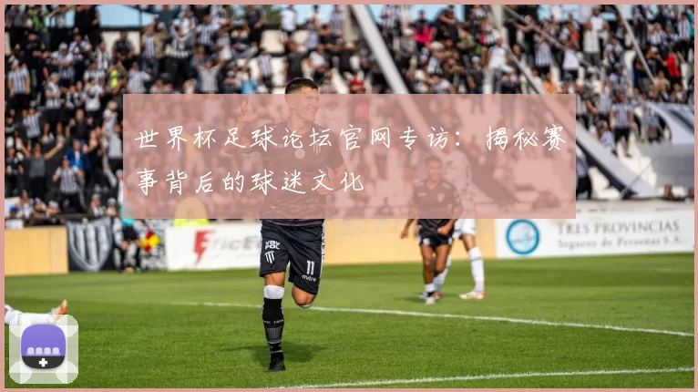 世界杯足球论坛官网专访：揭秘赛事背后的球迷文化