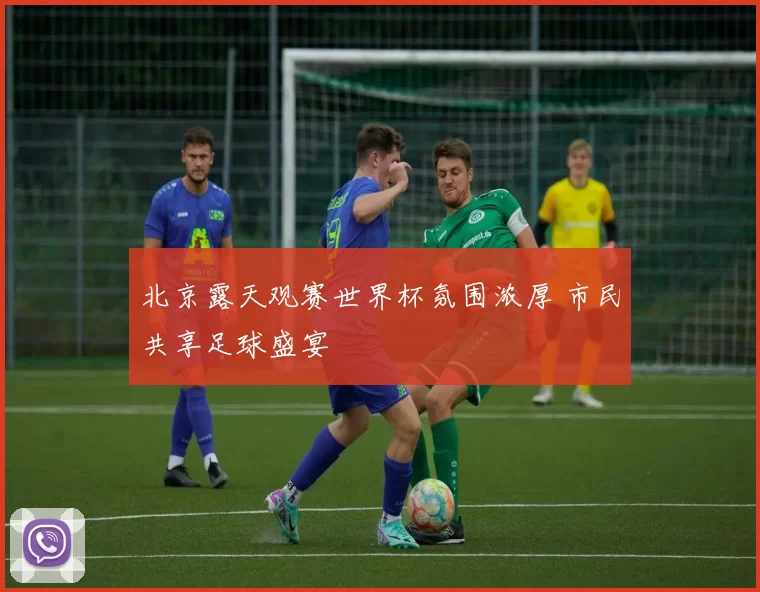 北京露天观赛世界杯氛围浓厚 市民共享足球盛宴