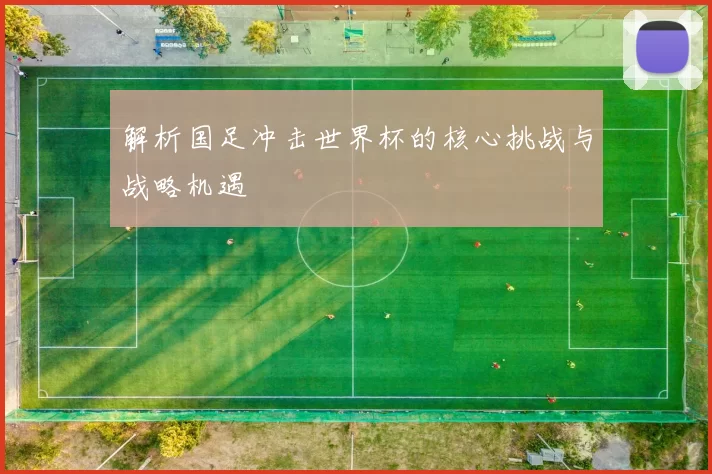 解析国足冲击世界杯的核心挑战与战略机遇