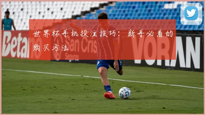 世界杯手机投注技巧:新手必看的购买方法