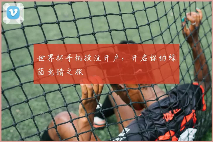世界杯手机投注开户，开启你的绿茵竞猜之旅