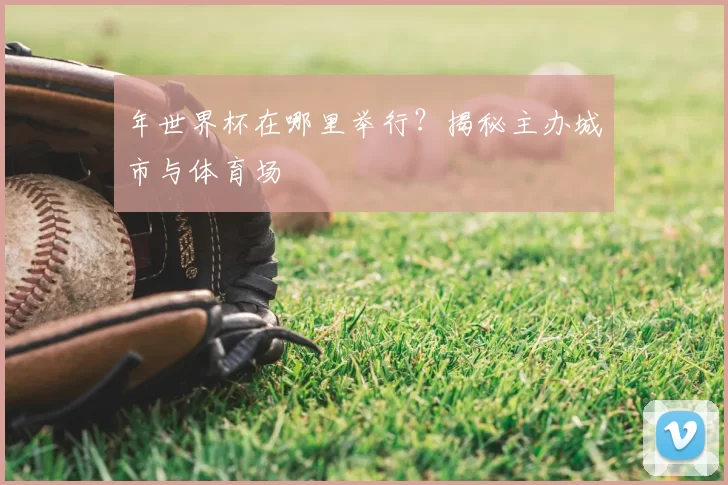 年世界杯在哪里举行？揭秘主办城市与体育场