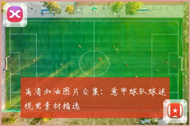 高清加油图片合集：意甲球队球迷视觉素材精选