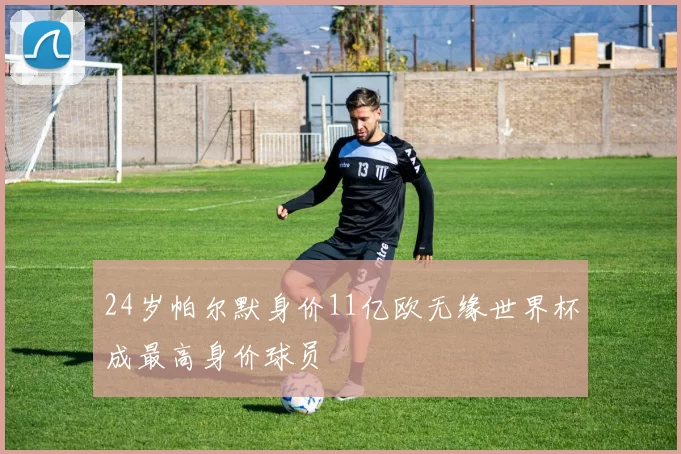 24岁帕尔默身价11亿欧无缘世界杯成最高身价球员
