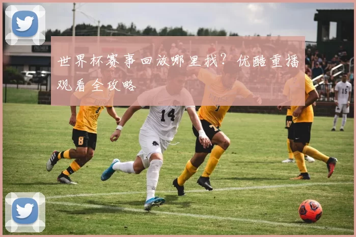 世界杯赛事回放哪里找？优酷重播观看全攻略