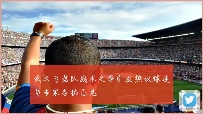武汉飞盘队战术之争引发热议球迷与专家各执己见