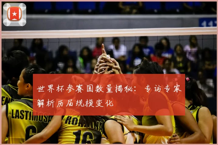 世界杯参赛国数量揭秘：专访专家解析历届规模变化