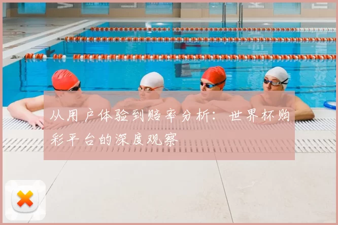 从用户体验到赔率分析：世界杯购彩平台的深度观察
